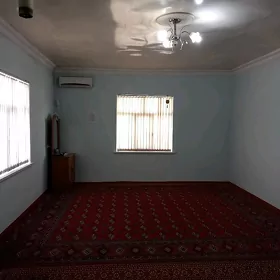 Gypjak jay