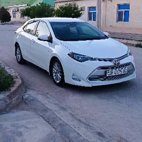 Toyota Corolla 2019