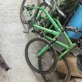 Turkmenistan tigir