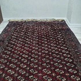 halylar