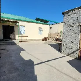 Coganly amatlyja plan
