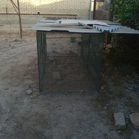 jüje kepderi ketek