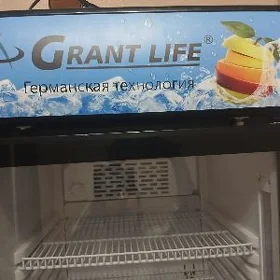 Holodelnik