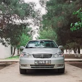 Toyota Corolla 2003