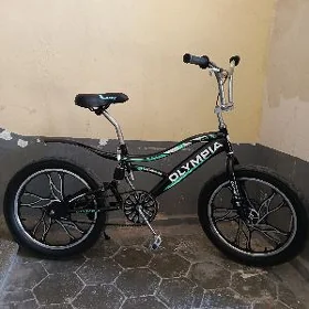 Olimpiýa tigir