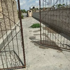 дача