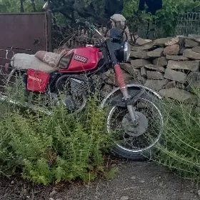 Fekon FK200-14G 2023