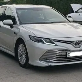 Toyota Camry 2019