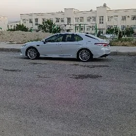 Toyota Camry 2020