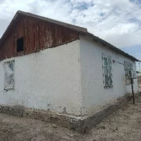 Agaç tagta finski jaý