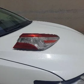 stopnik