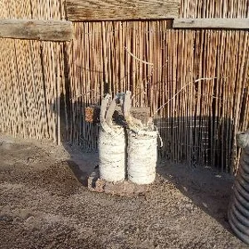 КАТУШКА