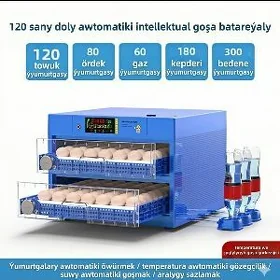 Inkubatorlar