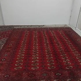 artel haly 2.90x3.40