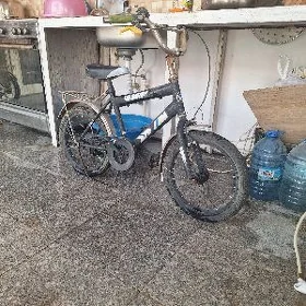 tigir 16 lyk