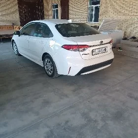 Toyota Corolla 2020