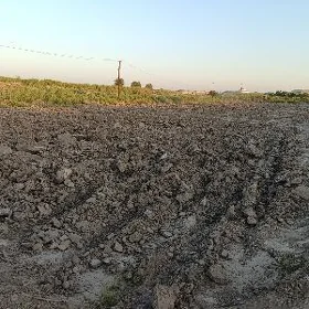 arenda mellek yer