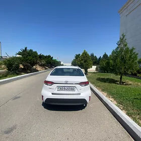 Toyota Corolla 2025