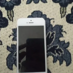 iphone5s