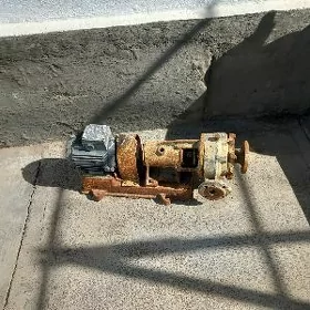 Nasos (насос)
