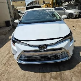 Toyota Corolla 2023