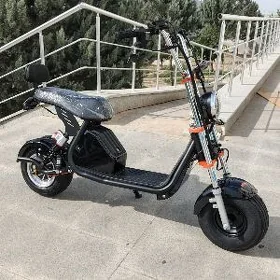 TIGIR MATOR BASEYKA MANESGA