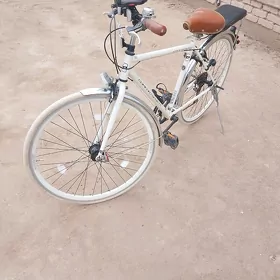 Velik