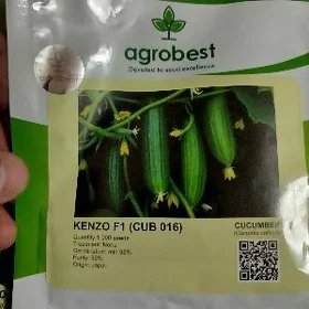 Kenzo F1