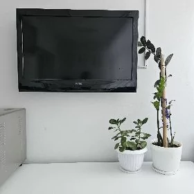 31 lik vestel telewizor