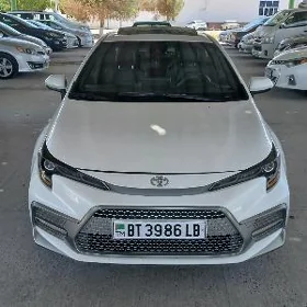 Toyota Corolla 2020