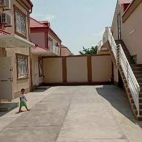 Arenda Coganly Kateź Full