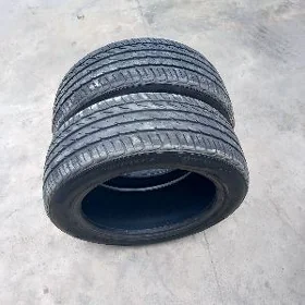 215 55 17 2stk sportrek