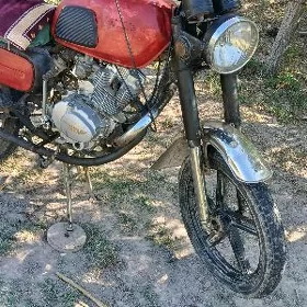 Fekon FK150-8G 2024