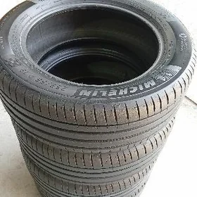 255/55/19/ MISHELIN ÝYLY24
