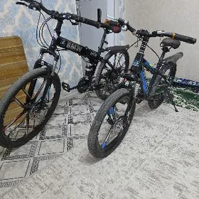 TIGIR BMW SATLYK