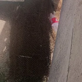 setga
