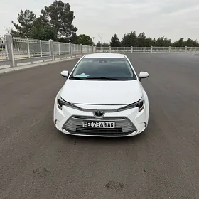 Toyota Corolla 2025