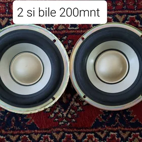 Bocka dinamiklar