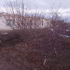 Satlyk ucaska jay 16 sot