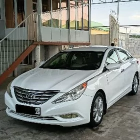 Hyundai Sonata 2010