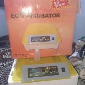 inkubator
