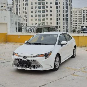 Toyota Corolla 2022