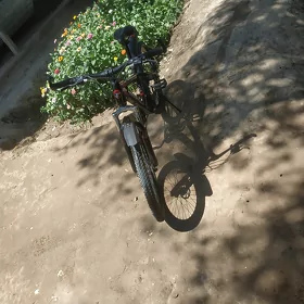 gowy