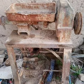 makaron cykaryan aparat