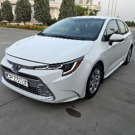 Toyota Corolla 2023