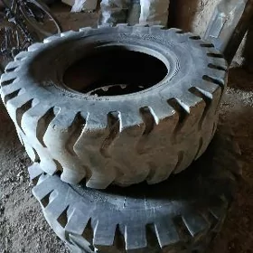 tigr kepce 2 kub lyk