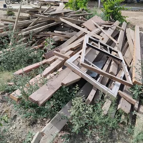 Agaçlar polluk