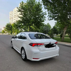 Toyota Corolla 2022