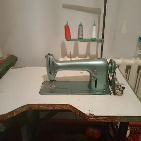 koža tikyen tikin masin