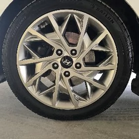 elantra